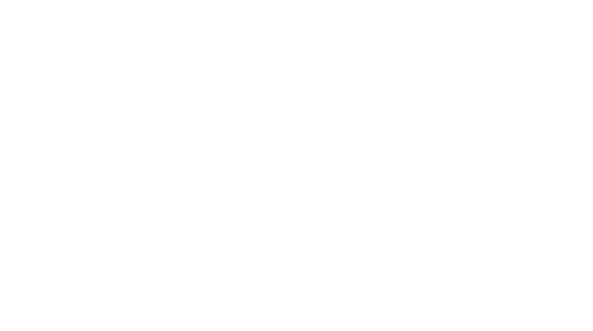 爱库问